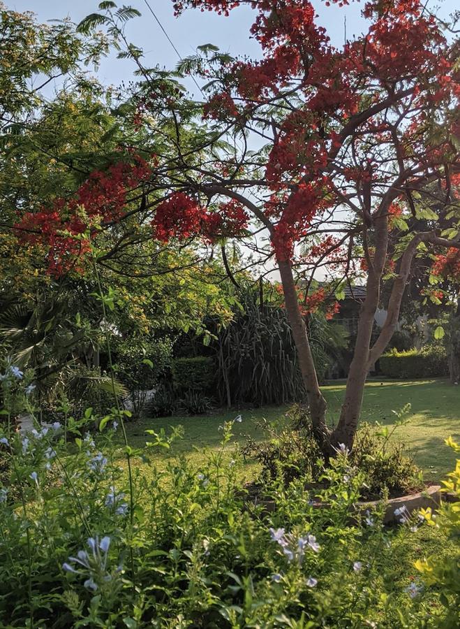 The Residence Villa Chobe คาซาเนอ ภายนอก รูปภาพ